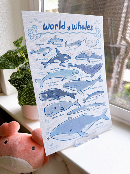 World of Whales Print [Shipping August]