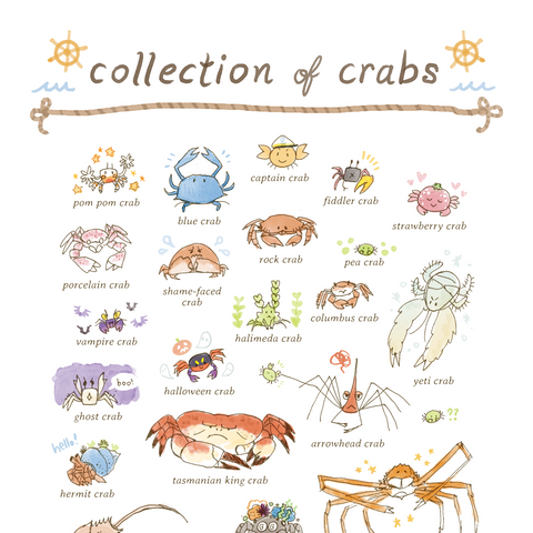 Collection of Crabs Print