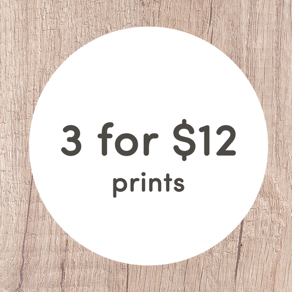 3 for $12 Mini Prints