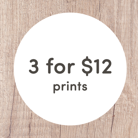 3 for $12 Mini Prints